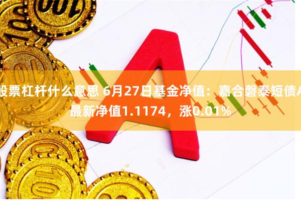 股票杠杆什么意思 6月27日基金净值：嘉合磐泰短债A最新净值1.1174，涨0.01%