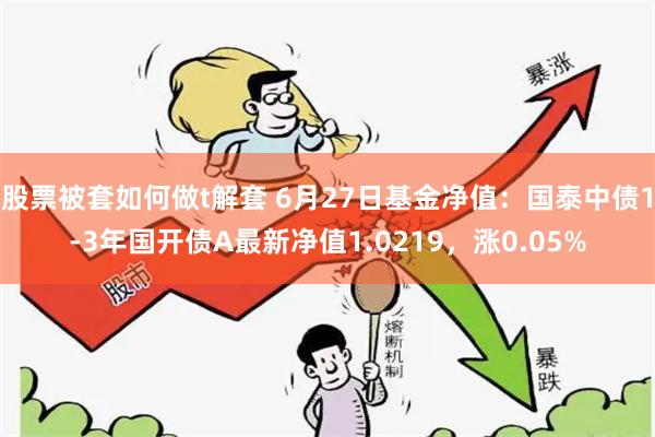 股票被套如何做t解套 6月27日基金净值：国泰中债1-3年国开债A最新净值1.0219，涨0.05%