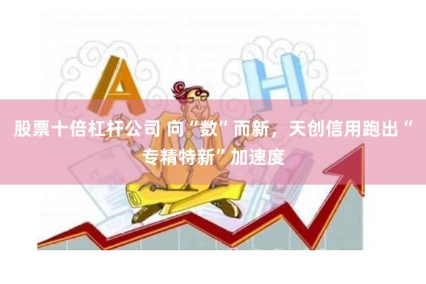 股票十倍杠杆公司 向“数”而新，天创信用跑出“专精特新”加速度