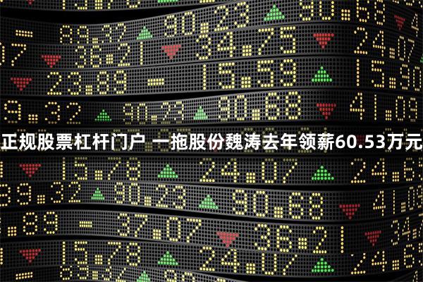 正规股票杠杆门户 一拖股份魏涛去年领薪60.53万元