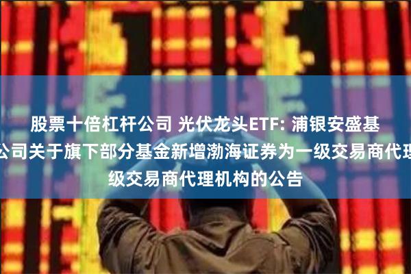 股票十倍杠杆公司 光伏龙头ETF: 浦银安盛基金管理有限公司关于旗下部分基金新增渤海证券为一级交易商代理机构的公告