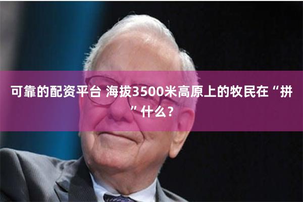 可靠的配资平台 海拔3500米高原上的牧民在“拼”什么？